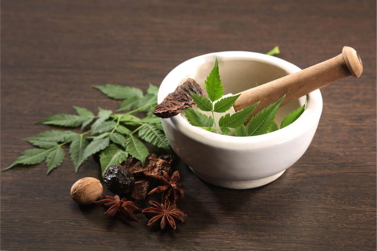 Ayurvedic Herbs Medicine
