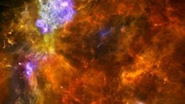 Baby Stars Grow to Great Mass if Born Within a Corral of Older Stars