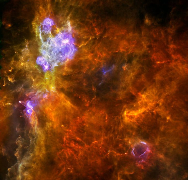 Baby Stars Grow to Great Mass if Born Within a Corral of Older Stars
