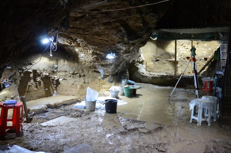 Bacho Kiro Cave Bulgaria Excavations
