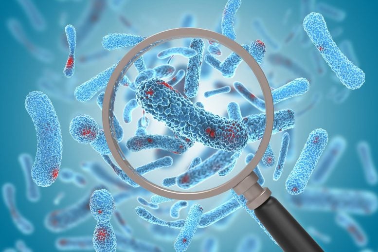 Bacteria Magnifying Glass Sepsis