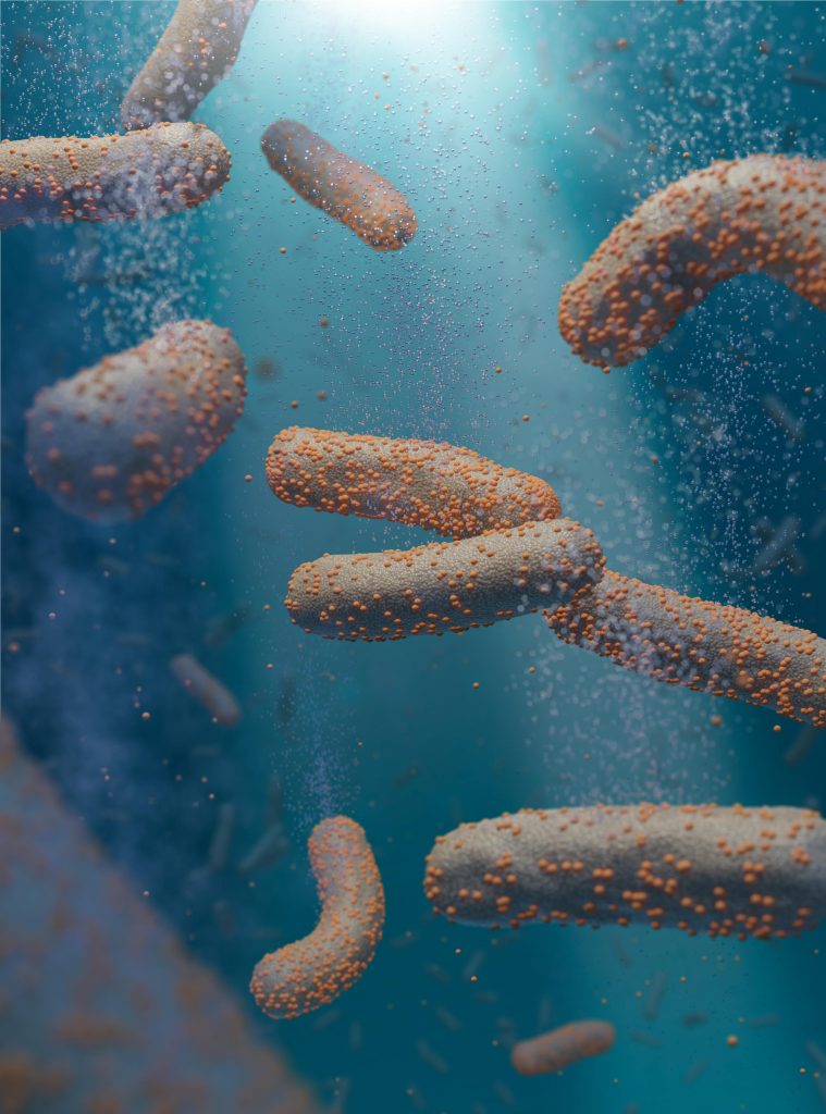 Bacteria and Nanoparticle Catalysts