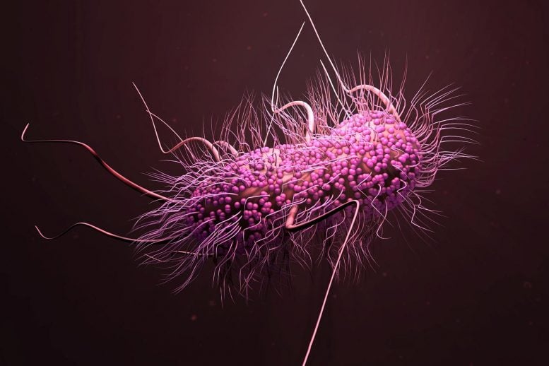 Bacterial Superbug Concept