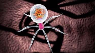 Bacteriophage Artist's Concept