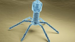 Bacteriophage Artist's Rendering