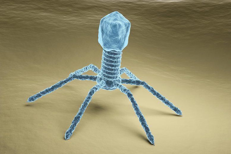 Bacteriophage Artist's Rendering