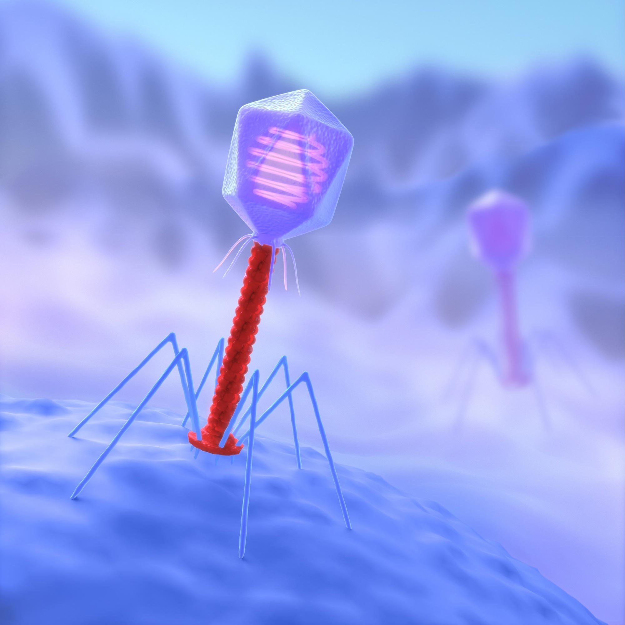 The incredible bacterial “housing missiles” that scientists want to exploit