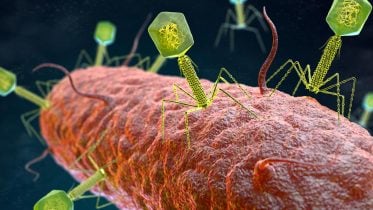 When Giants Fight Microscopic Wars: Jumbo Viruses Tackle Superbugs