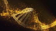 Bad DNA Changes Aging Concept