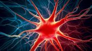 Bad Neuron Dementia Brain Decay
