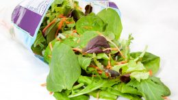 Bag Salad
