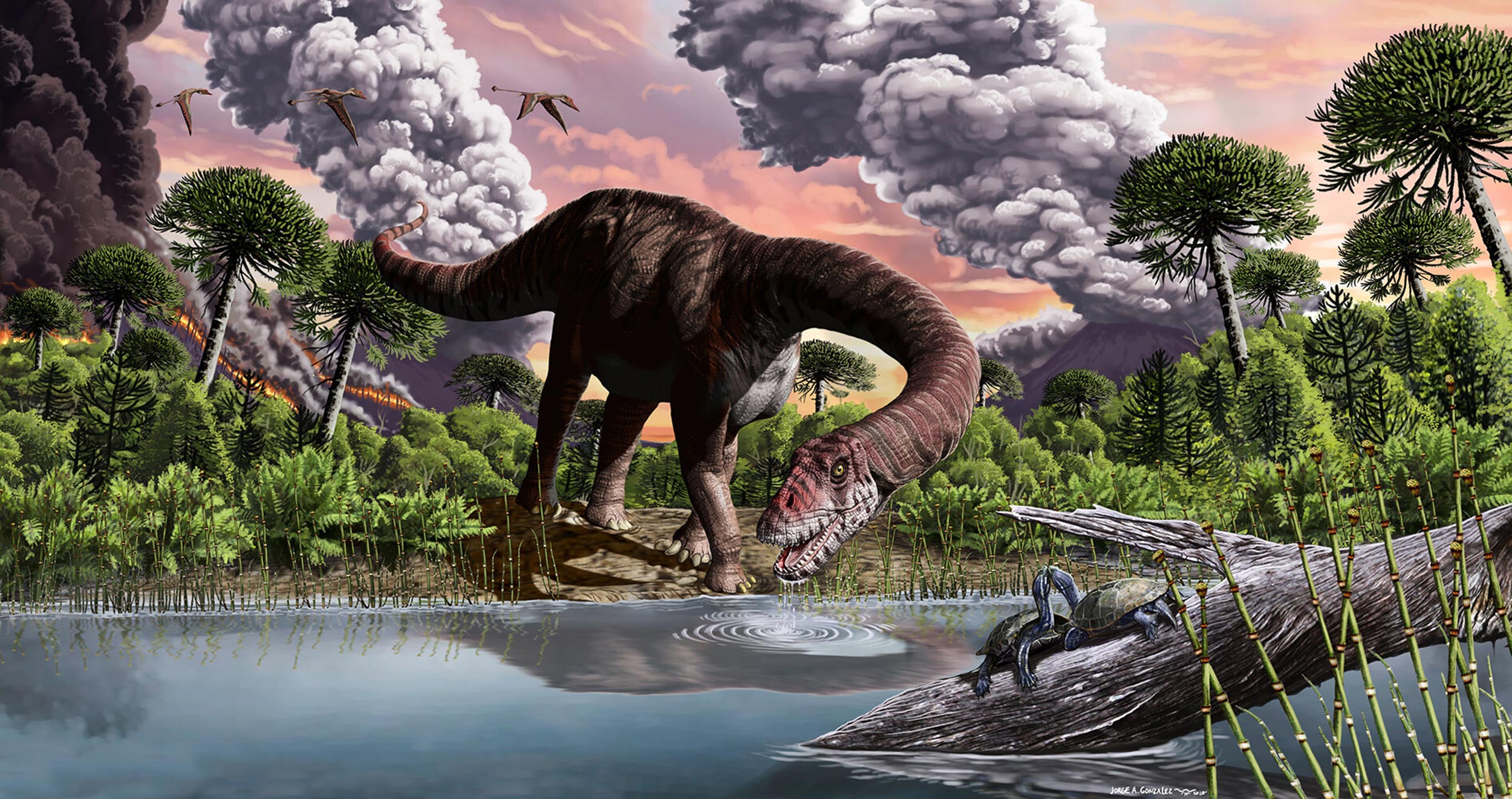 Some Like It Hot: Global Warming Triggered the Evolution of Giant Dinosaurs