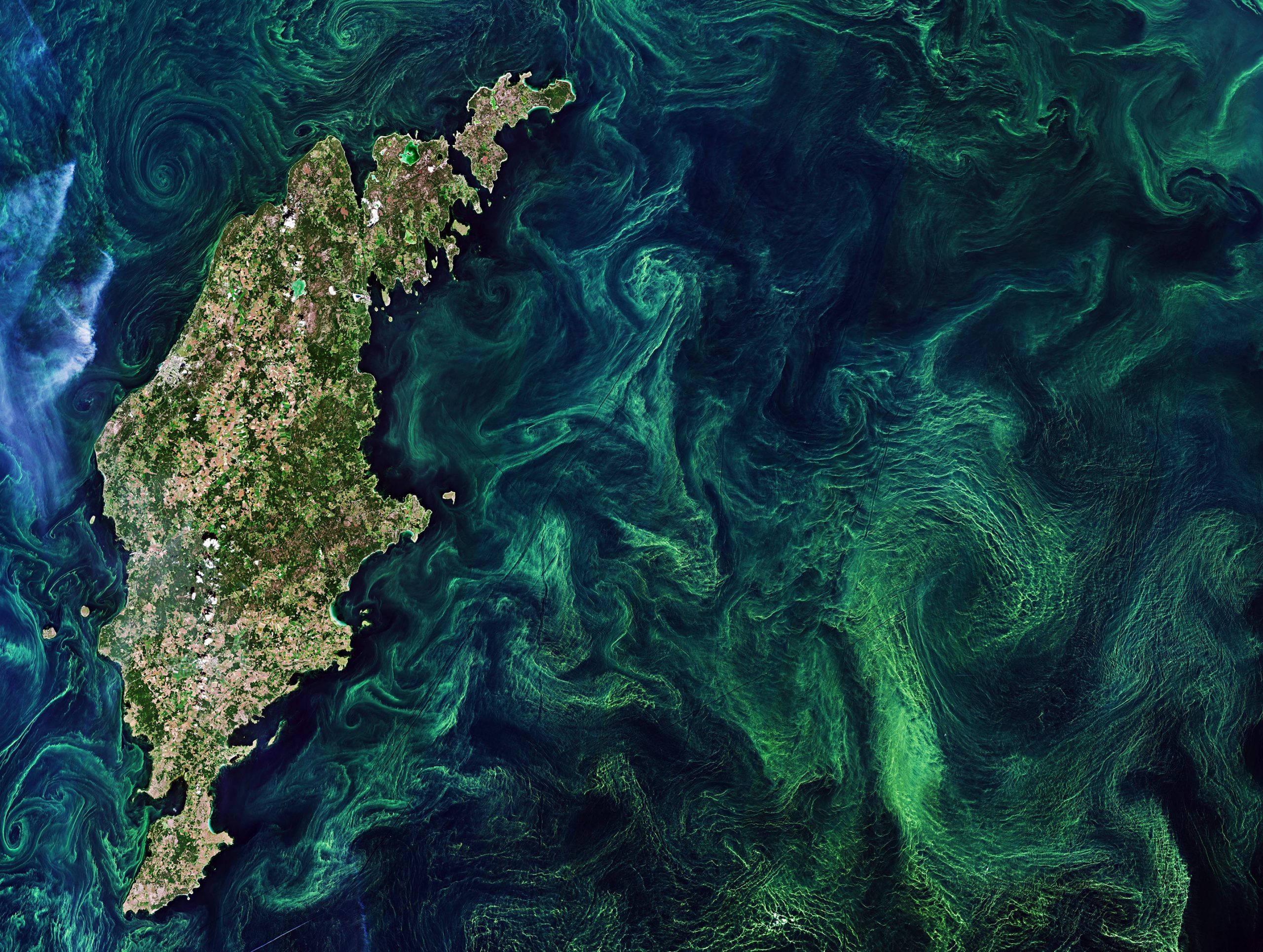 Swirling Green Algae Blooms in Baltic Sea Viewed From Space [Video]