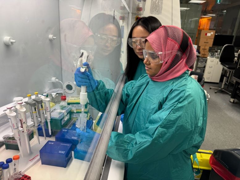 Baoyue Zhang and Sanjida Afrin