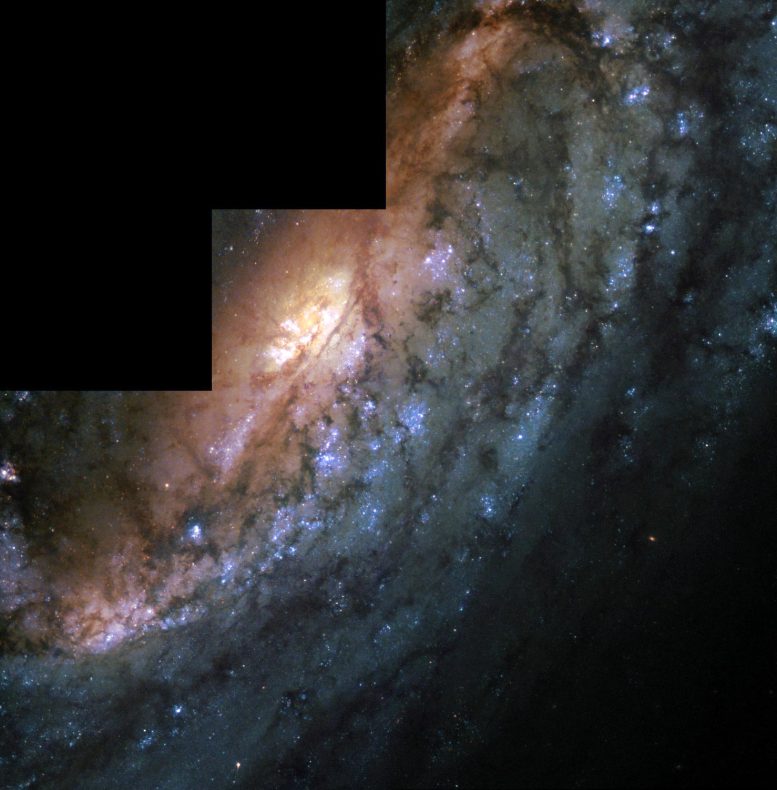 Bar in Spiral Galaxy NGC 2903