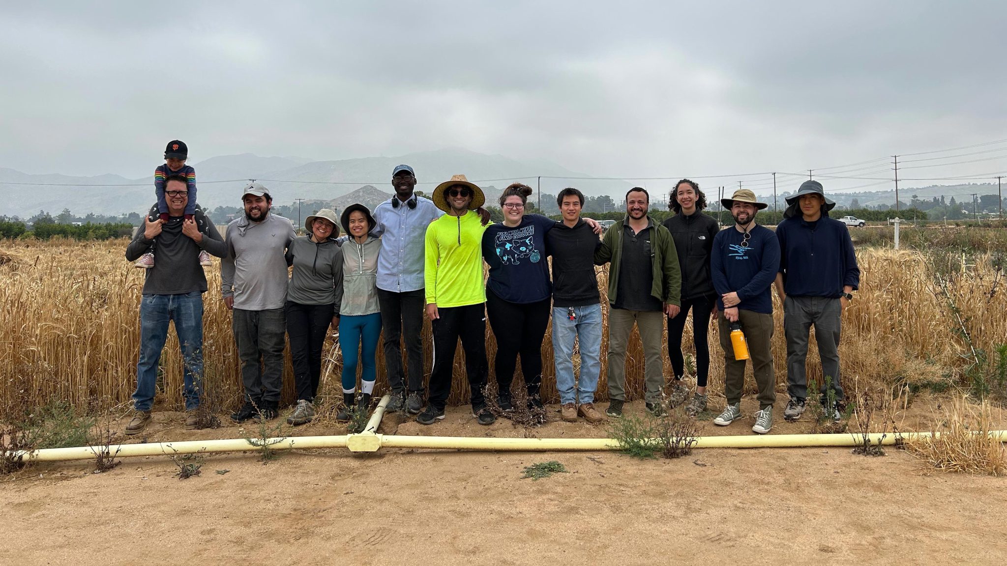 Beer’s Best Friend The CenturyOld Experiment Boosting Barley’s Resilience