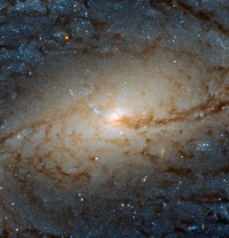 Barred Spiral Galaxy NGC 3887