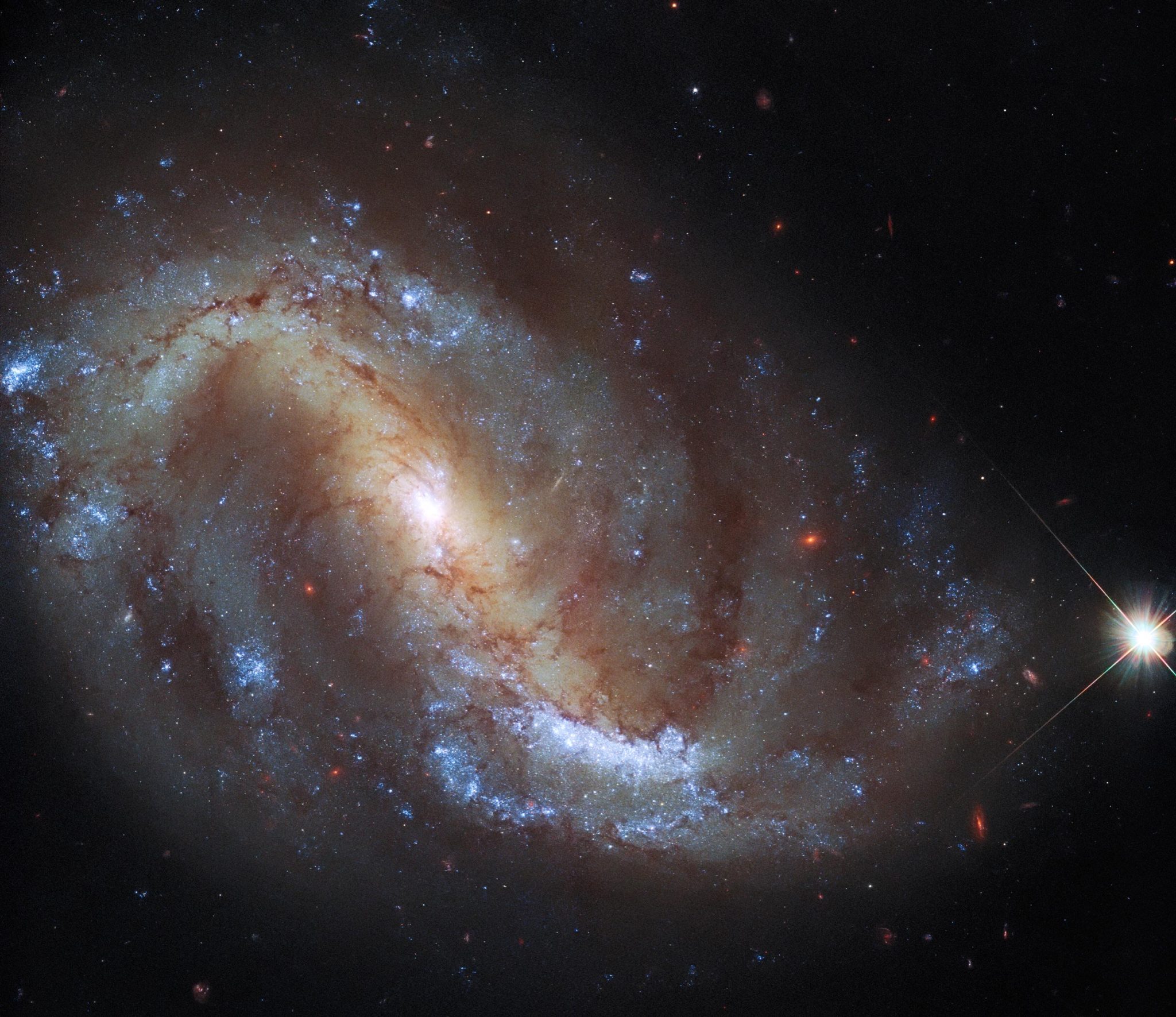 Telescopio espacial Hubble lanza observación de aves galácticas