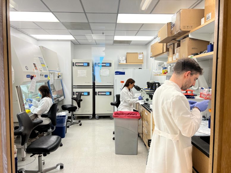 Barreiro Lab Cell Culture Experiments