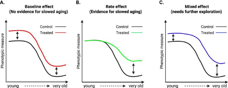 Baseline Shifts Versus Changes in Aging Rate