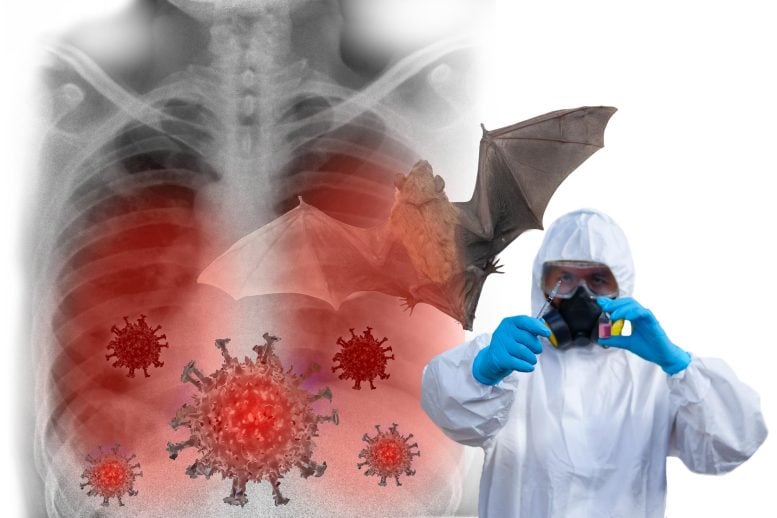 Bats Mers Virus Scientist Disease