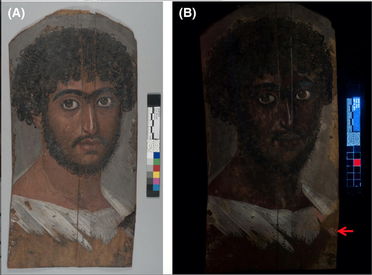 Science Reveals Long-Lost Secrets of a Mummy's Portrait - SciTechDaily