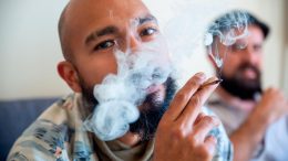 Bearded Man Smoking Cannabis Joint