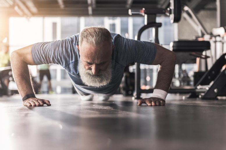 Bearded Senior Man Push Ups Workout Gym
