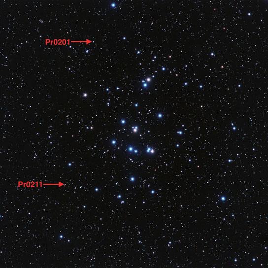 Beehive star cluster