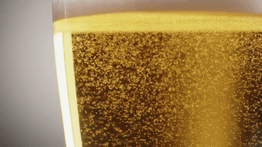 Beer Glass Bubbles