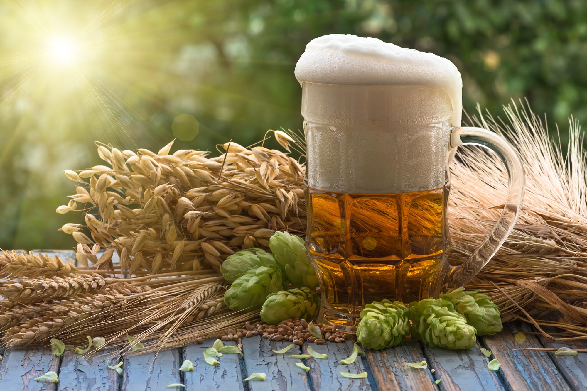 “Hoppy” Health Benefits – Beer Hops Compounds Could Help Protect Against Alzheimer’s Disease