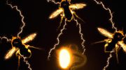 Bees and Electricity Illustration
