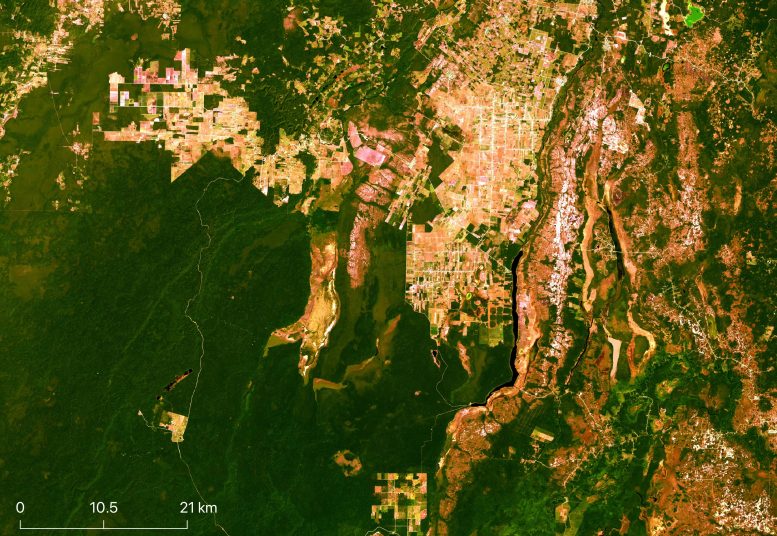 Belize NASA Landsat 8