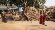 Bengal Remote Village