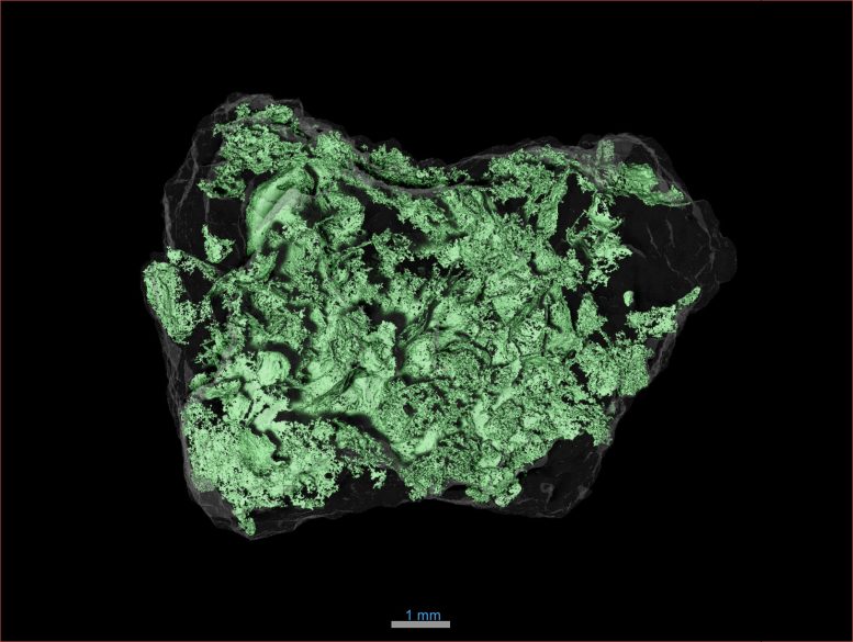 Bennu Sample Particle X Ray 777x585