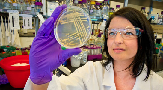 Berkeley Lab-led team explores a way to create biofuels
