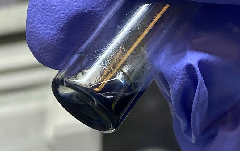 Berkelocene Solution