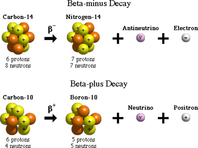 Science Made Simple What Is Beta Decay Science Made Simple What Is Beta Decay