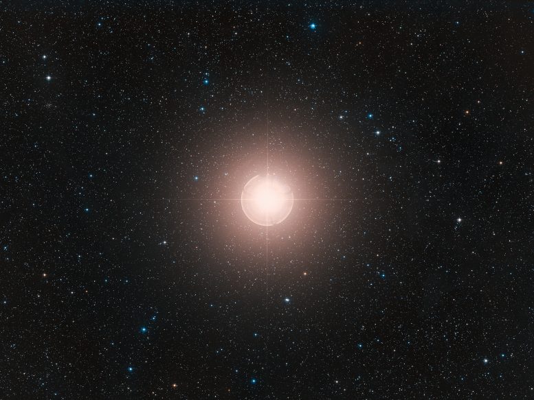 Betelgeuse Wide Field View