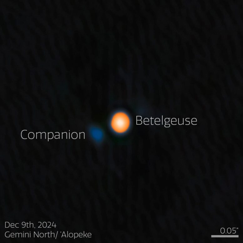 Betelgeuse and Its Stellar Companion