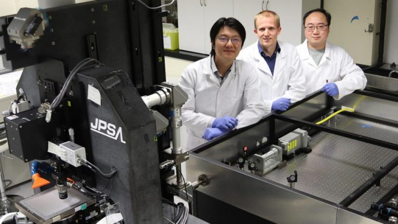 Bifacial Solar Cell ANU Researchers