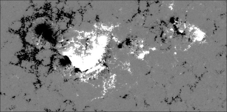 Big Sunspot in Magnetic Field