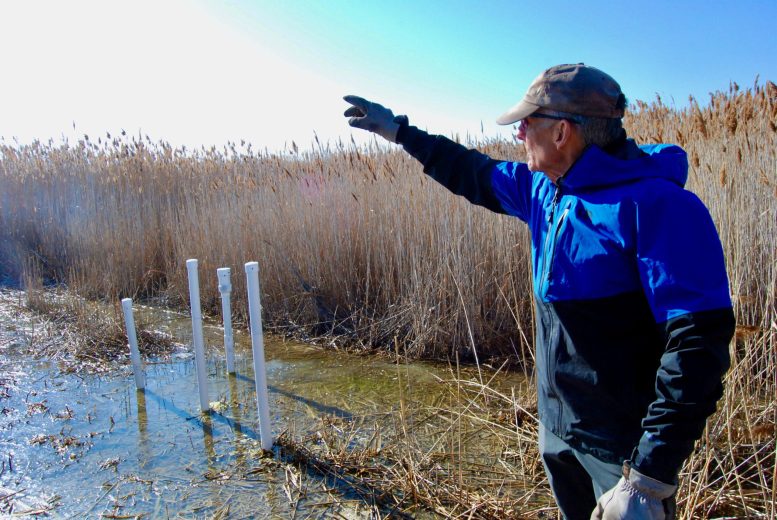 Bill Johnson Collects Data at Round Spot 9