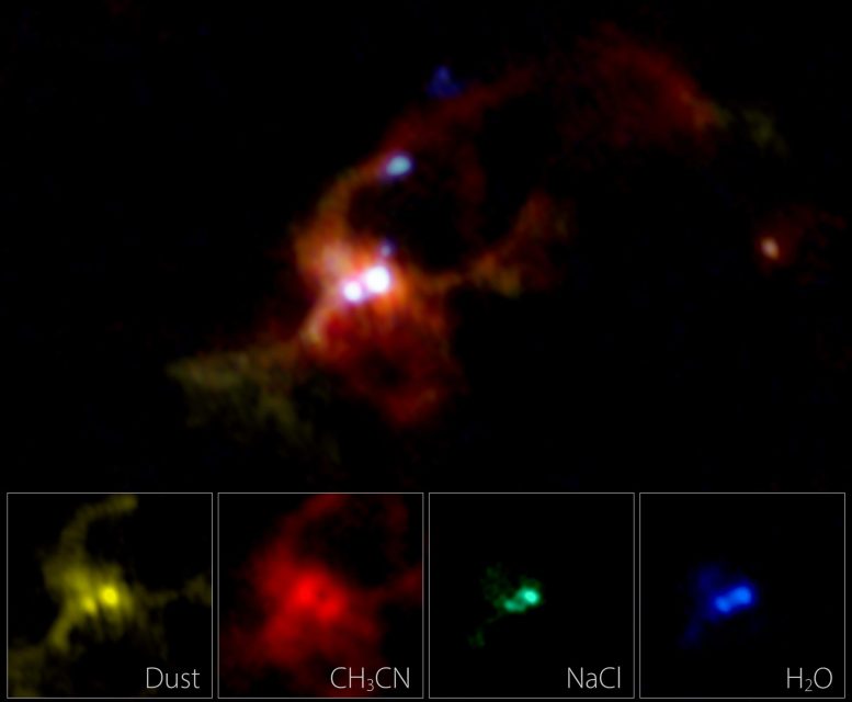 Binary Massive Protostar IRAS 16547-4247