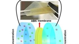 Bio-Inspired Nanocomposite Membranes