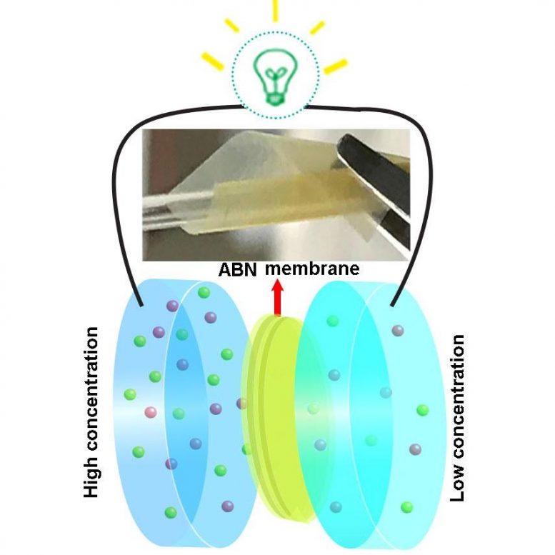 Bio-Inspired Nanocomposite Membranes