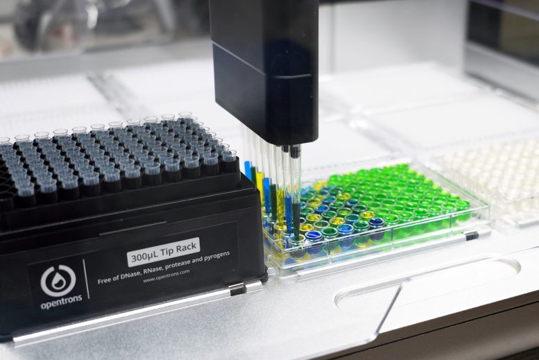 Bioactive Compounds Lab