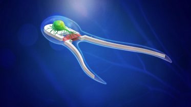 Biobots