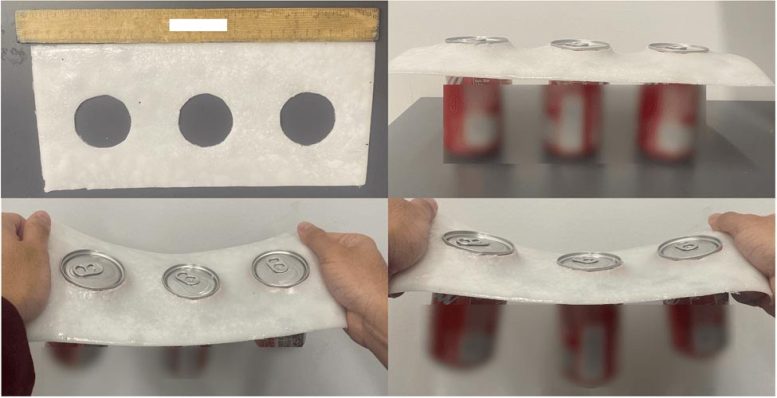 Biocompatible Plastic Substitute Chung Lab