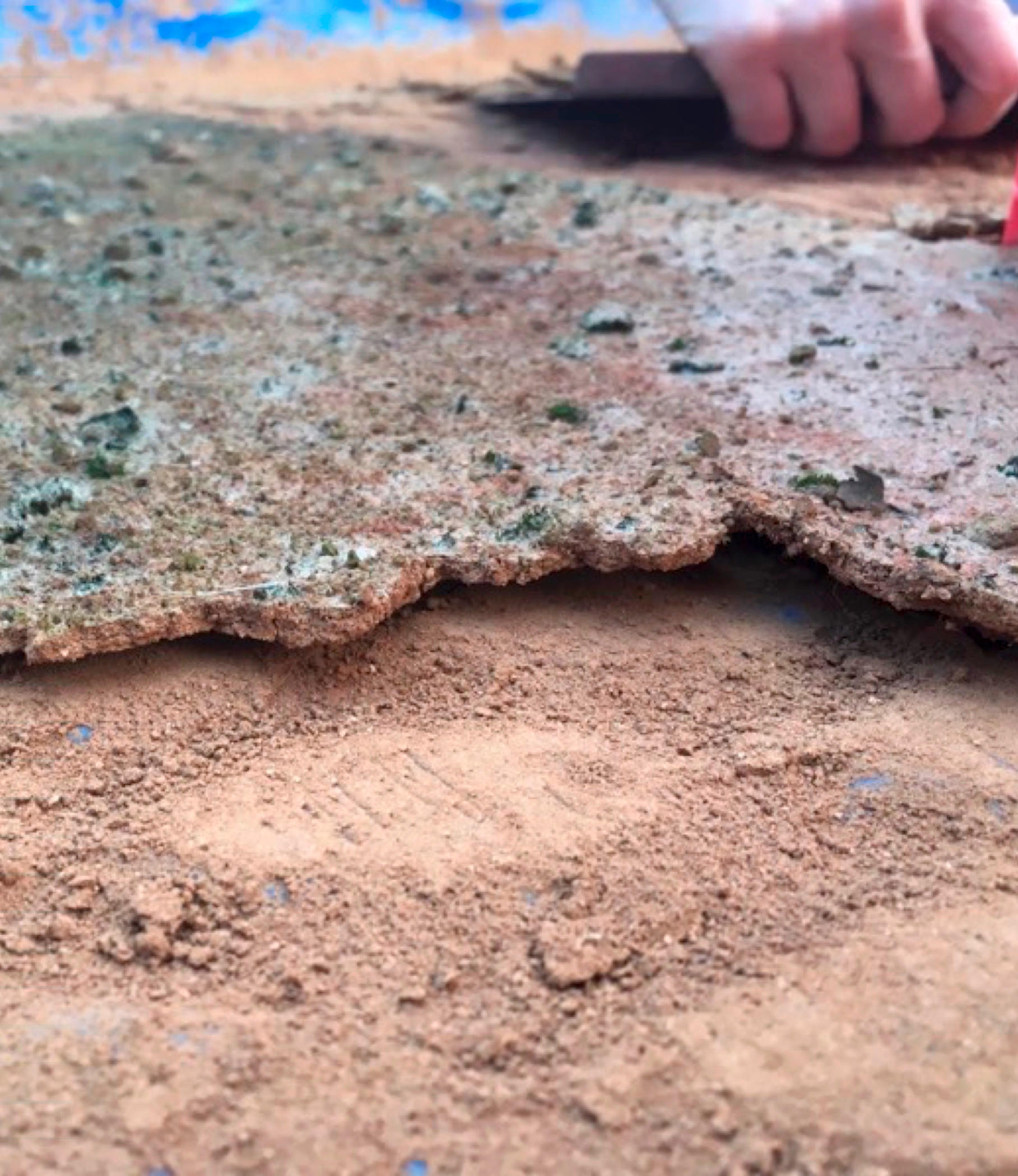 scitechdaily.com image